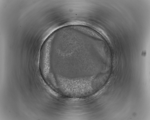 X0000090761228200708101740