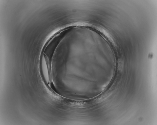 X0000090761229200708101740