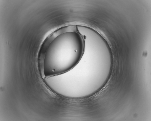 X0000090761230200708101740