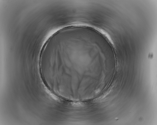 X0000090761231200708101740