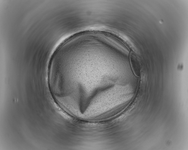 X0000090761232200708101740