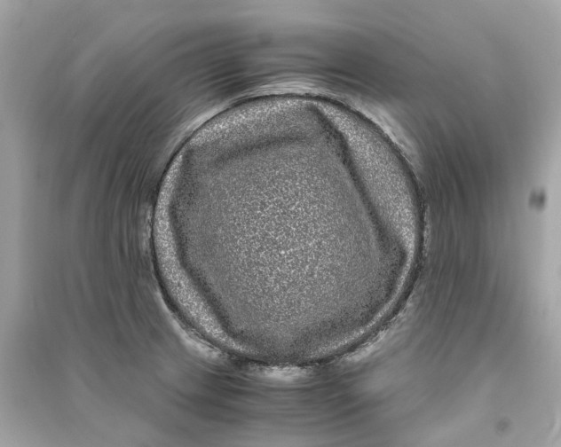 X0000090761233200708101740