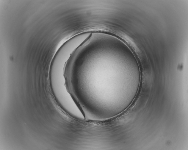 X0000090761234200708101740