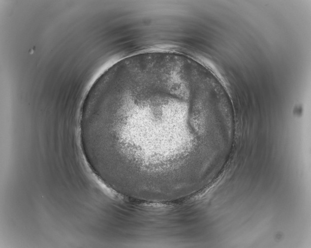 X0000090761235200708101740