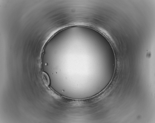 X0000090761236200708101740