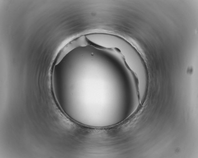 X0000090761238200708101740