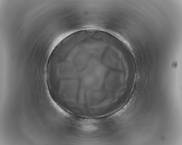 X0000090761239200708101740