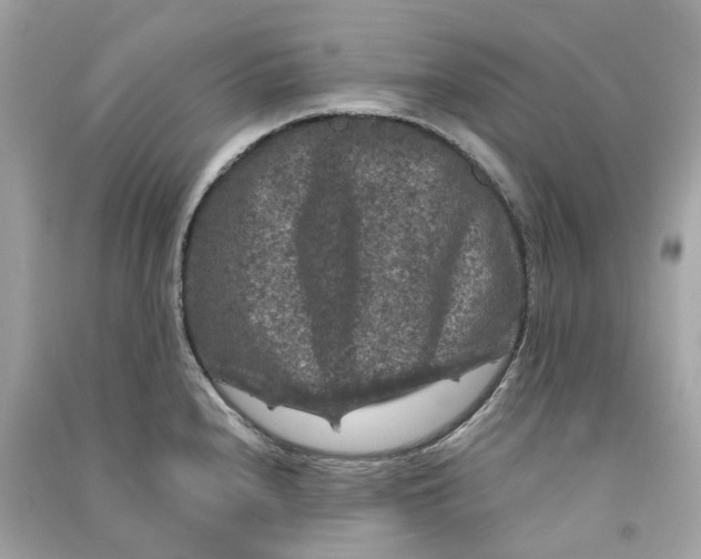 X0000090761240200708101740