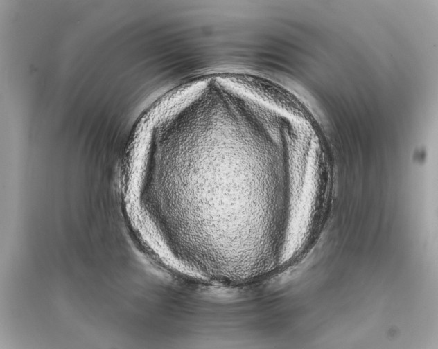 X0000090761241200708101740