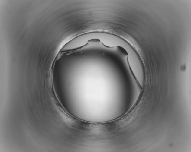 X0000090761242200708101740