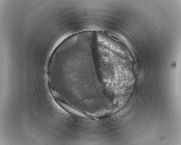 X0000090761243200708101740