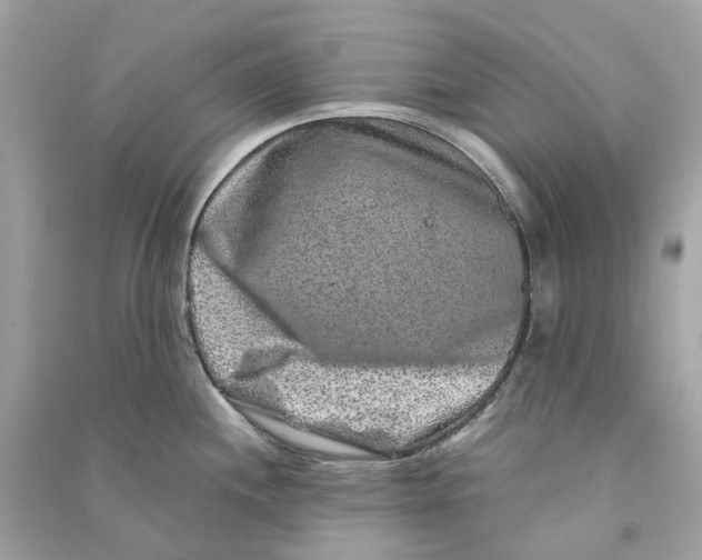 X0000090761244200708101740