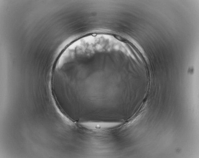 X0000090761245200708101740