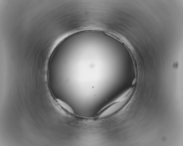 X0000090761246200708101740