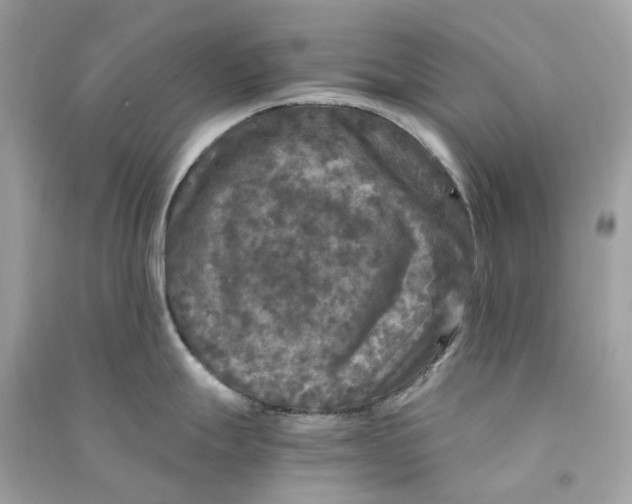 X0000090761247200708101740