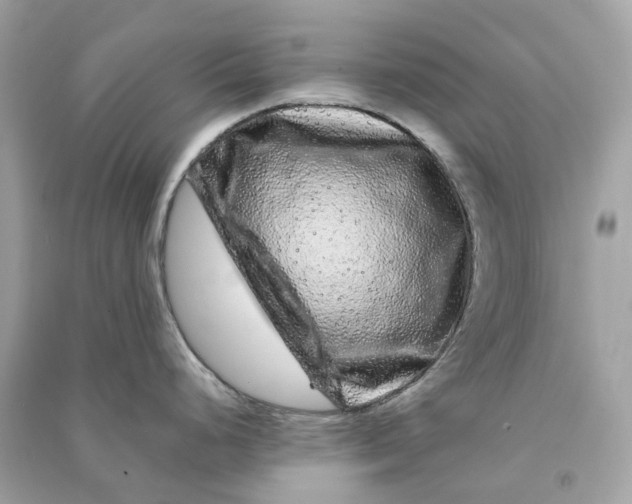 X0000090761248200708101740