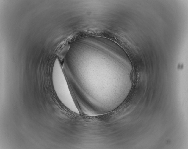 X0000090761250200708101739