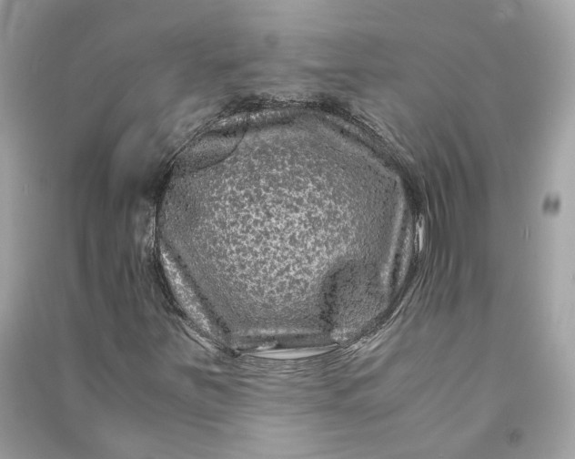 X0000090761251200708101739