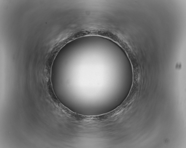 X0000090761253200708101739