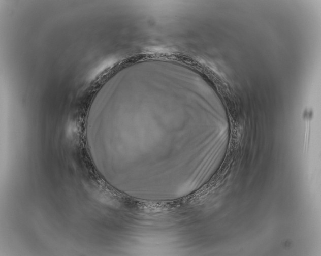 X0000090761254200708101739