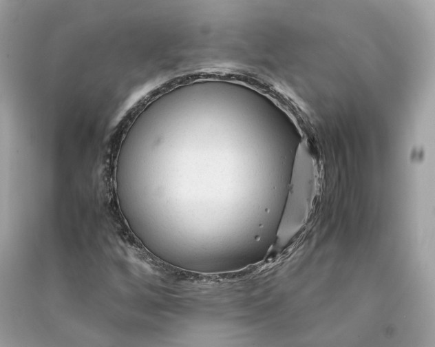 X0000090761256200708101739