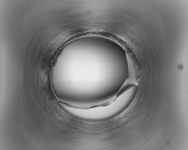 X0000090761257200708101739