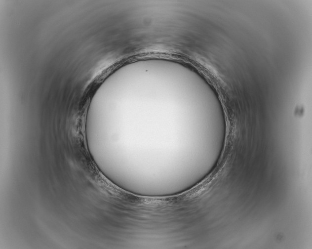 X0000090761258200708101739