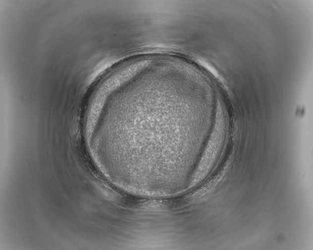 X0000090761259200708101739