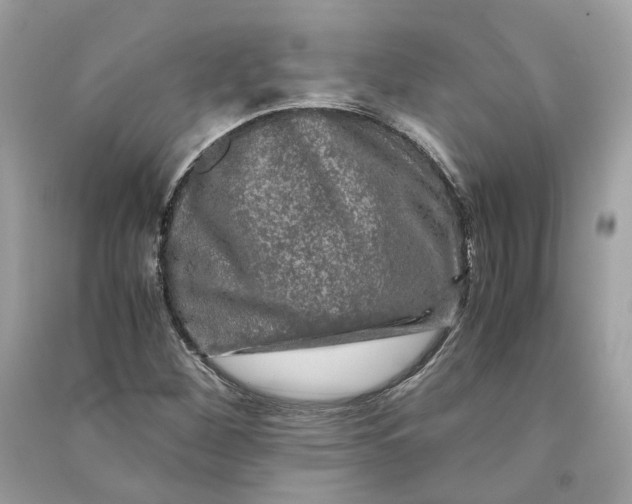 X0000090761260200708101739