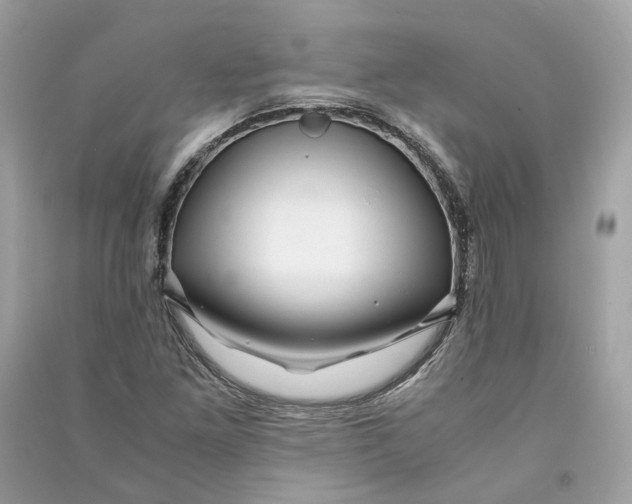 X0000090761261200708101739