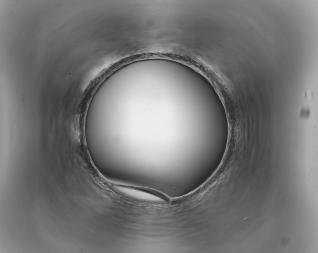 X0000090761262200708101739