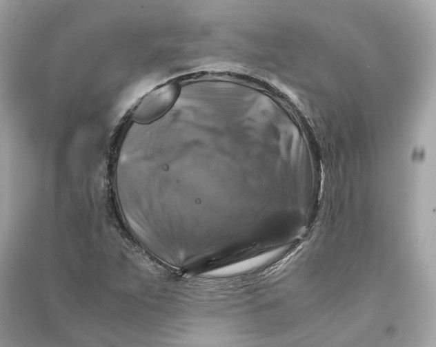 X0000090761263200708101739