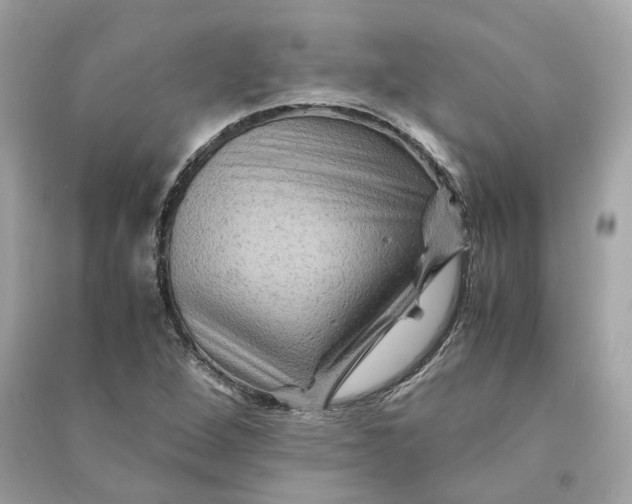 X0000090761264200708101739