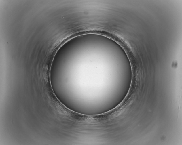 X0000090761265200708101739