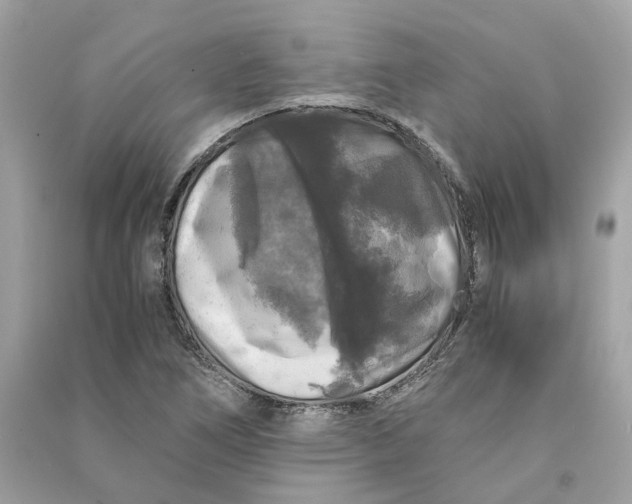 X0000090761266200708101739