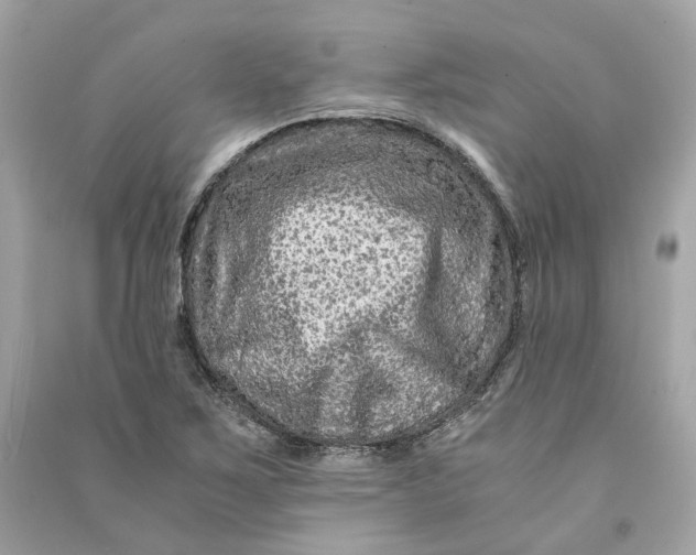 X0000090761267200708101739