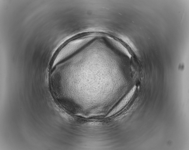 X0000090761268200708101739