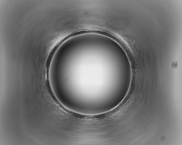 X0000090761269200708101739