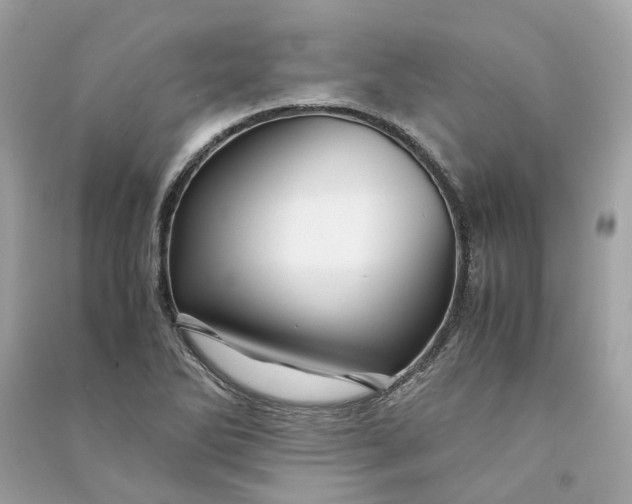 X0000090761270200708101739