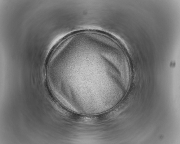 X0000090761271200708101739