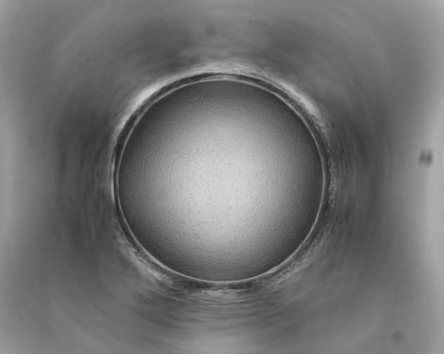 X0000090761272200708101739