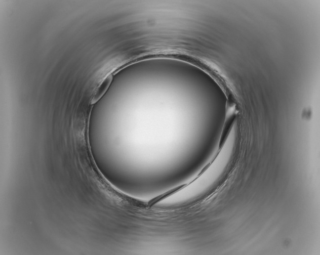 X0000090761273200708101739