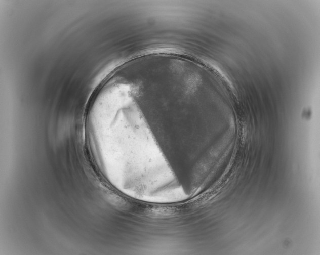 X0000090761274200708101739