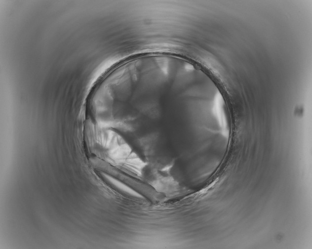 X0000090761275200708101739