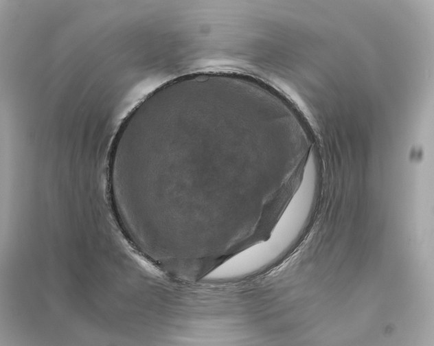 X0000090761277200708101739