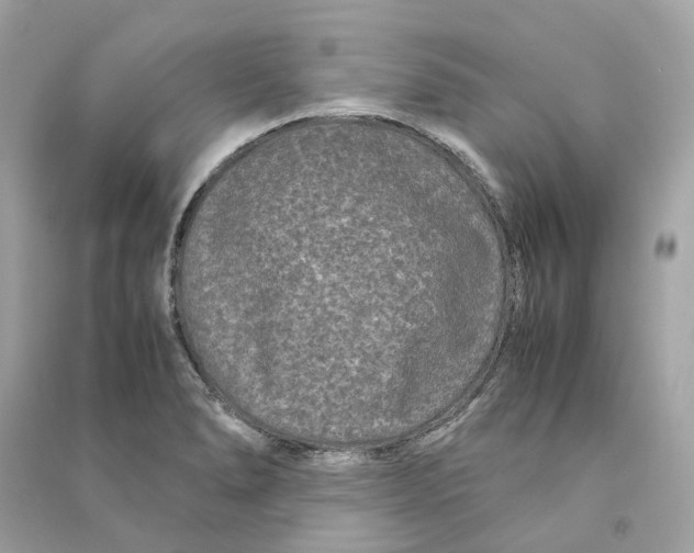 X0000090761278200708101739