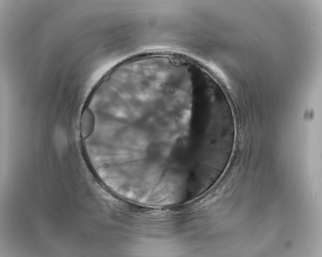 X0000090761279200708101739