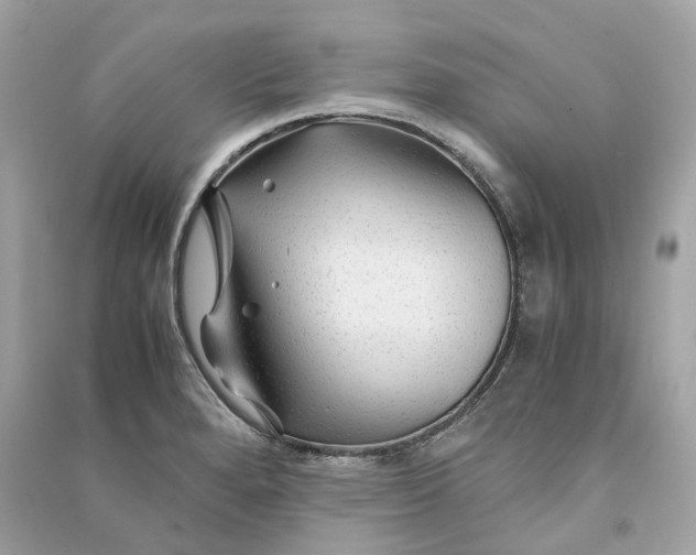 X0000090761280200708101739