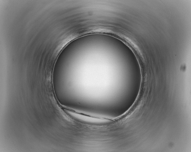 X0000090761281200708101739