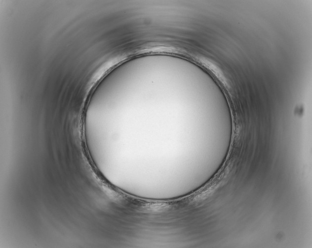 X0000090761282200708101739